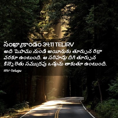 Picture 02 - సంఖ్యాకాండం 34:11 TELIRV - అది షెపాము నుండి - Bible Verse Picture