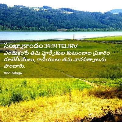 Picture 02 - సంఖ్యాకాండం 34:14 TELIRV - ఎందుకంటే తమ - Bible Verse Picture