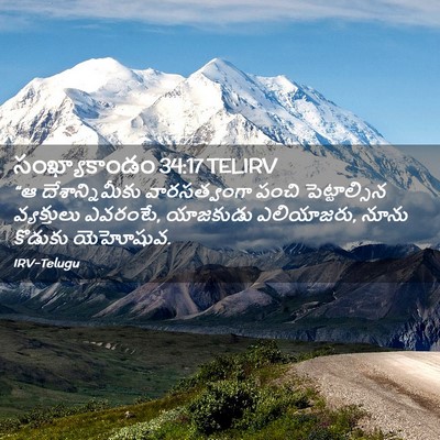 Picture 02 - సంఖ్యాకాండం 34:17 TELIRV - “ఆ దేశాన్నిమీకు - Bible Verse Picture
