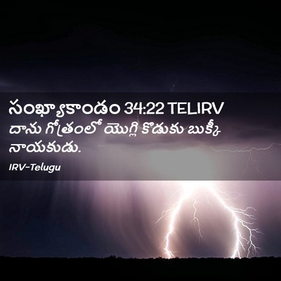 Picture 02 - సంఖ్యాకాండం 34:22 TELIRV - దాను గోత్రంలో - Bible Verse Picture
