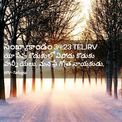 Picture 02 - సంఖ్యాకాండం 34:23 TELIRV - యోసేపు కొడుకుల్లో - Bible Verse Picture
