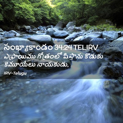 Picture 02 - సంఖ్యాకాండం 34:24 TELIRV - ఎఫ్రాయిము - Bible Verse Picture