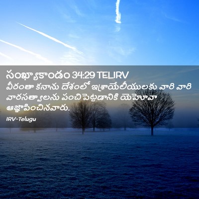 Picture 02 - సంఖ్యాకాండం 34:29 TELIRV - వీరంతా కనాను - Bible Verse Picture
