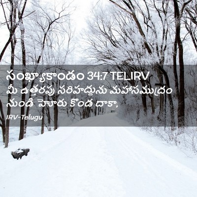 Picture 02 - సంఖ్యాకాండం 34:7 TELIRV - మీ ఉత్తరపు - Bible Verse Picture