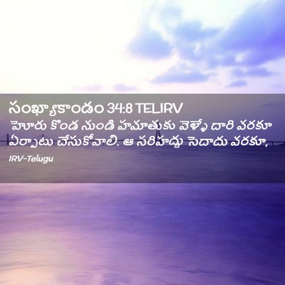 Picture 02 - సంఖ్యాకాండం 34:8 TELIRV - హోరు కొండ నుండి - Bible Verse Picture