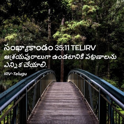Picture 02 - సంఖ్యాకాండం 35:11 TELIRV - ఆశ్రయపురాలుగా - Bible Verse Picture