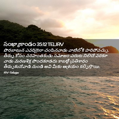 Picture 02 - సంఖ్యాకాండం 35:12 TELIRV - పొరబాటున ఎవరినైనా - Bible Verse Picture