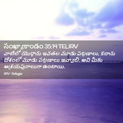Picture 02 - సంఖ్యాకాండం 35:14 TELIRV - వాటిలో యొర్దాను - Bible Verse Picture