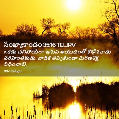 Picture 02 - సంఖ్యాకాండం 35:16 TELIRV - ఒకడు చనిపోయేలా - Bible Verse Picture