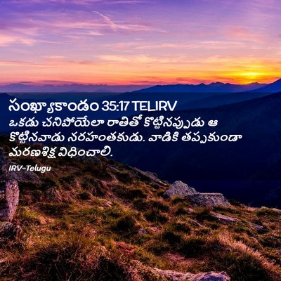 Picture 02 - సంఖ్యాకాండం 35:17 TELIRV - ఒకడు చనిపోయేలా - Bible Verse Picture