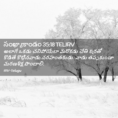 Picture 02 - సంఖ్యాకాండం 35:18 TELIRV - అలాగే ఒకడు - Bible Verse Picture