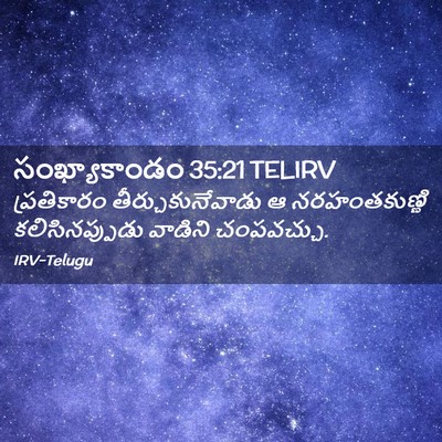 Picture 02 - సంఖ్యాకాండం 35:21 TELIRV - ప్రతికారం - Bible Verse Picture