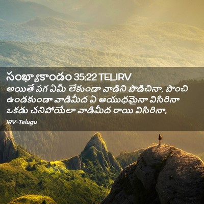 Picture 02 - సంఖ్యాకాండం 35:22 TELIRV - అయితే పగ ఏమీ - Bible Verse Picture