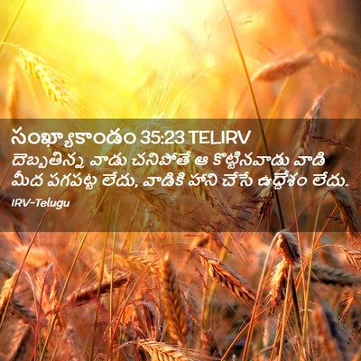 Picture 02 - సంఖ్యాకాండం 35:23 TELIRV - దెబ్బతిన్న వాడు - Bible Verse Picture