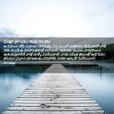 Picture 02 - సంఖ్యాకాండం 35:25 TELIRV - ఆ విధంగా చేసి - Bible Verse Picture