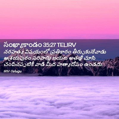 Picture 02 - సంఖ్యాకాండం 35:27 TELIRV - నరహత్య విషయంలో - Bible Verse Picture