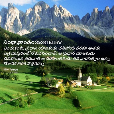 Picture 02 - సంఖ్యాకాండం 35:28 TELIRV - ఎందుకంటే, ప్రధాన - Bible Verse Picture
