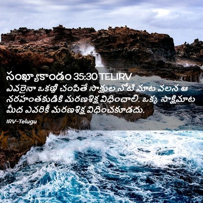 Picture 02 - సంఖ్యాకాండం 35:30 TELIRV - ఎవరైనా ఒకణ్ణి - Bible Verse Picture