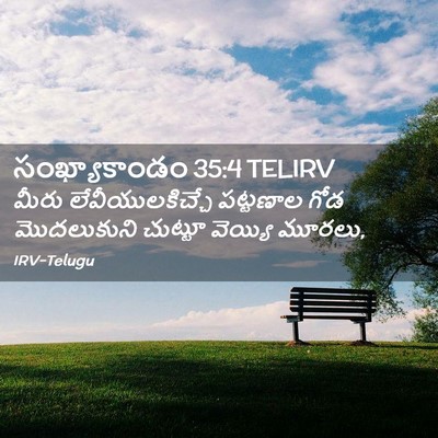 Picture 02 - సంఖ్యాకాండం 35:4 TELIRV - మీరు - Bible Verse Picture