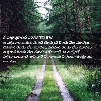 Picture 02 - సంఖ్యాకాండం 35:5 TELIRV - ఆ పట్టణాల బయట - Bible Verse Picture