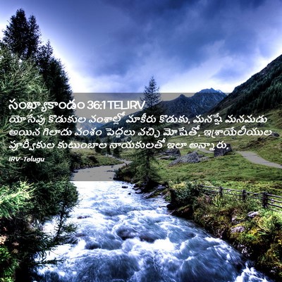 Picture 02 - సంఖ్యాకాండం 36:1 TELIRV - యోసేపు కొడుకుల - Bible Verse Picture