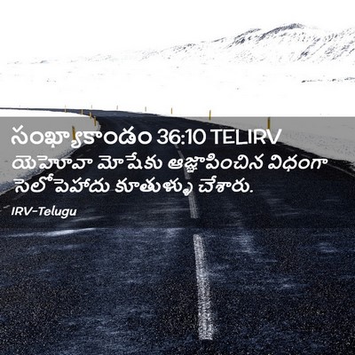 Picture 02 - సంఖ్యాకాండం 36:10 TELIRV - యెహోవా మోషేకు - Bible Verse Picture