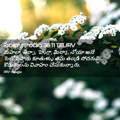 Picture 02 - సంఖ్యాకాండం 36:11 TELIRV - మహలా, తిర్సా, - Bible Verse Picture