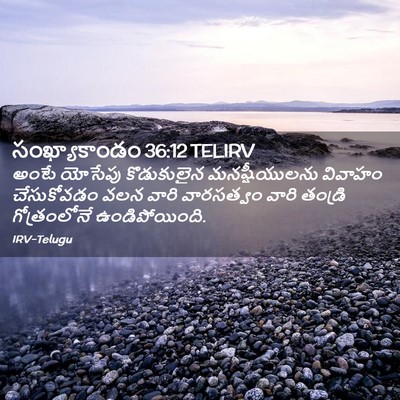 Picture 02 - సంఖ్యాకాండం 36:12 TELIRV - అంటే యోసేపు - Bible Verse Picture