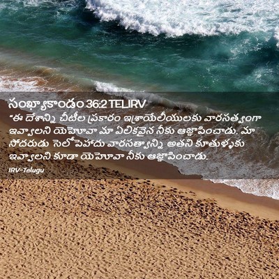Picture 02 - సంఖ్యాకాండం 36:2 TELIRV - “ఈ దేశాన్ని చీటీల - Bible Verse Picture