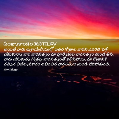 Picture 02 - సంఖ్యాకాండం 36:3 TELIRV - అయితే వారు - Bible Verse Picture