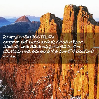 Picture 02 - సంఖ్యాకాండం 36:6 TELIRV - యెహోవా సెలోపెహాదు - Bible Verse Picture