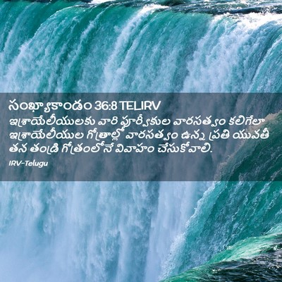 Picture 02 - సంఖ్యాకాండం 36:8 TELIRV - ఇశ్రాయేలీయులకు - Bible Verse Picture