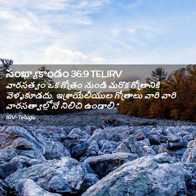 Picture 02 - సంఖ్యాకాండం 36:9 TELIRV - వారసత్వం ఒక - Bible Verse Picture