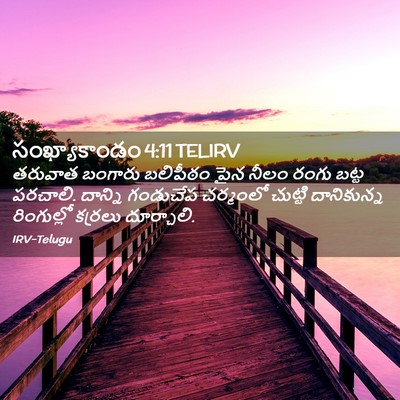 Picture 02 - సంఖ్యాకాండం 4:11 TELIRV - తరువాత బంగారు - Bible Verse Picture