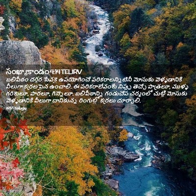 Picture 02 - సంఖ్యాకాండం 4:14 TELIRV - బలిపీఠం దగ్గర - Bible Verse Picture