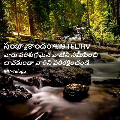 Picture 02 - సంఖ్యాకాండం 4:19 TELIRV - వారు పరిశుద్ధమైన - Bible Verse Picture