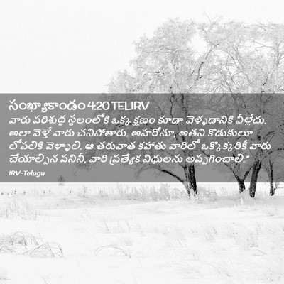Picture 02 - సంఖ్యాకాండం 4:20 TELIRV - వారు పరిశుద్ధ - Bible Verse Picture