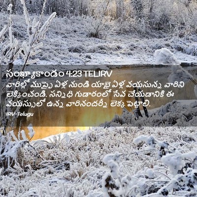 Picture 02 - సంఖ్యాకాండం 4:23 TELIRV - వారిల్లో ముప్ఫై - Bible Verse Picture