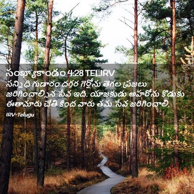 Picture 02 - సంఖ్యాకాండం 4:28 TELIRV - సన్నిధి గుడారం - Bible Verse Picture