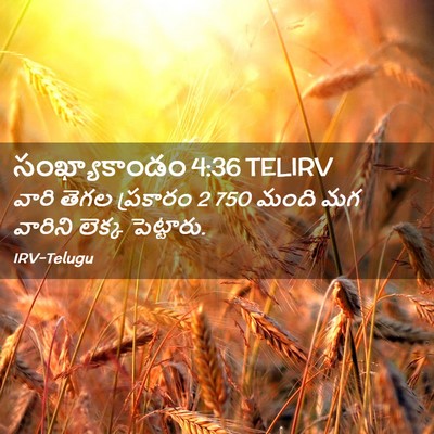 Picture 02 - సంఖ్యాకాండం 4:36 TELIRV - వారి తెగల ప్రకారం 2 - Bible Verse Picture