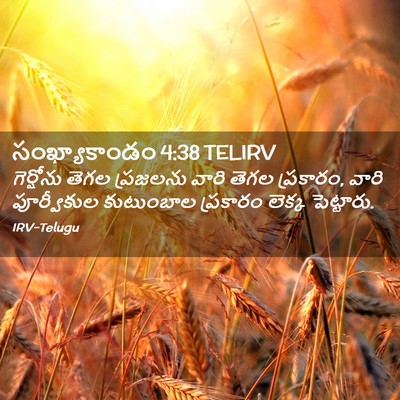 Picture 02 - సంఖ్యాకాండం 4:38 TELIRV - గెర్షోను తెగల - Bible Verse Picture