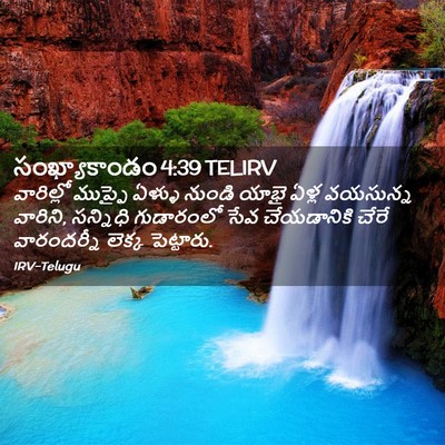 Picture 02 - సంఖ్యాకాండం 4:39 TELIRV - వారిల్లో ముప్ఫై - Bible Verse Picture