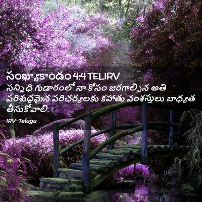 Picture 02 - సంఖ్యాకాండం 4:4 TELIRV - సన్నిధి గుడారంలో - Bible Verse Picture
