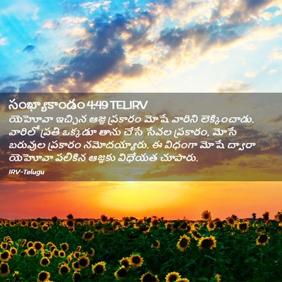 Picture 02 - సంఖ్యాకాండం 4:49 TELIRV - యెహోవా ఇచ్చిన - Bible Verse Picture