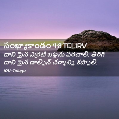 Picture 02 - సంఖ్యాకాండం 4:8 TELIRV - దాని పైన ఎర్రటి - Bible Verse Picture