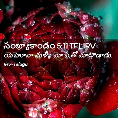 Picture 02 - సంఖ్యాకాండం 5:11 TELIRV - యెహోవా మళ్ళీ - Bible Verse Picture