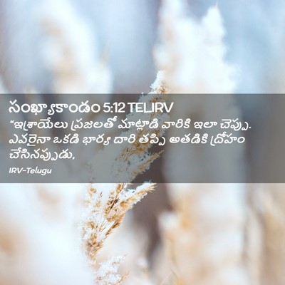 Picture 02 - సంఖ్యాకాండం 5:12 TELIRV - “ఇశ్రాయేలు - Bible Verse Picture