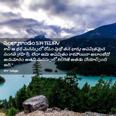 Picture 02 - సంఖ్యాకాండం 5:14 TELIRV - కానీ ఆ భర్త - Bible Verse Picture