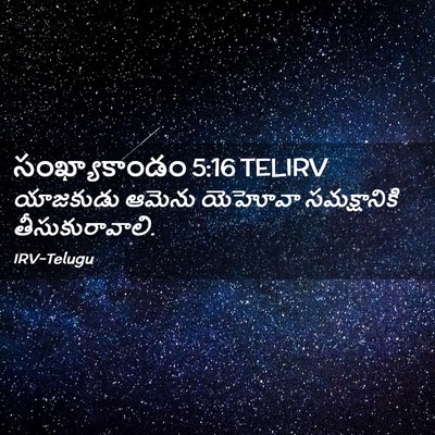 Picture 02 - సంఖ్యాకాండం 5:16 TELIRV - యాజకుడు ఆమెను - Bible Verse Picture