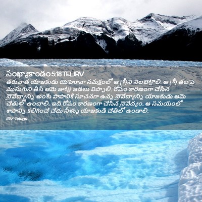 Picture 02 - సంఖ్యాకాండం 5:18 TELIRV - తరువాత యాజకుడు - Bible Verse Picture